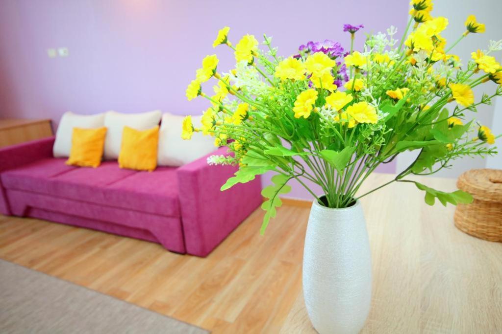Flowers Apartments Τιμισοάρα Εξωτερικό φωτογραφία