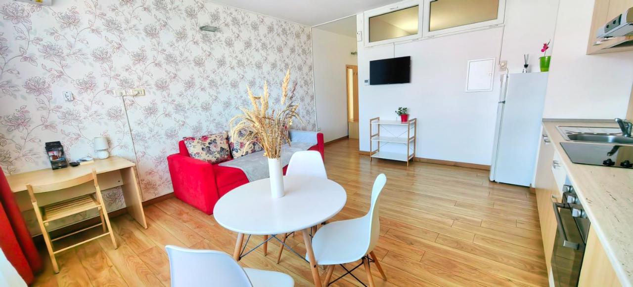 Flowers Apartments Τιμισοάρα Εξωτερικό φωτογραφία